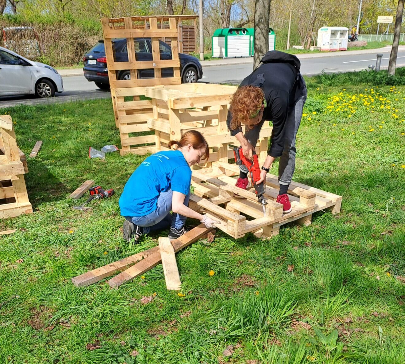 Altstadtgärtla wächst und gedeiht