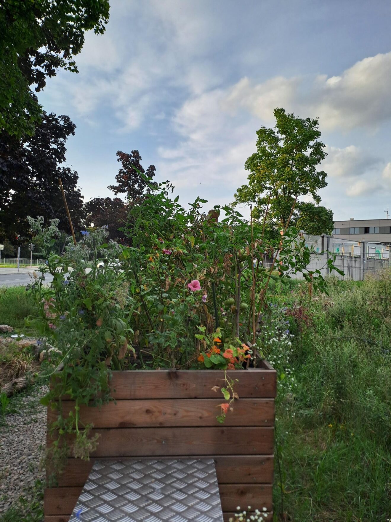 Herbstaktionen im Altstadtgärtla