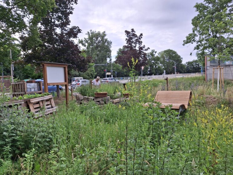 Liegeplatz im Altstadtgärtla